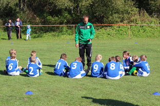 爱游戏app下载-德甲球队构建战术模拟平台辅助赛中调整，德甲模式