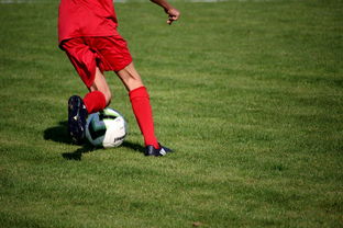 爱游戏app-篮球运动员心理韧性提升及干预体系建设，篮球运动员的心理训练